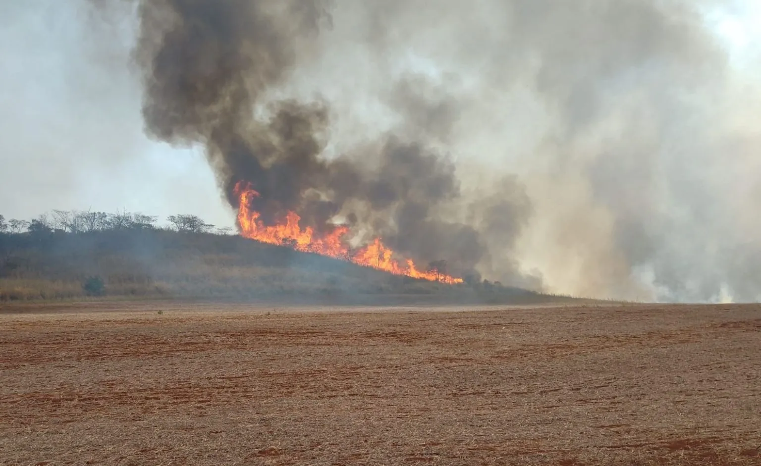 Governo de SP lança pacote de R$ 10 milhões para socorrer produtores afetados por incêndios